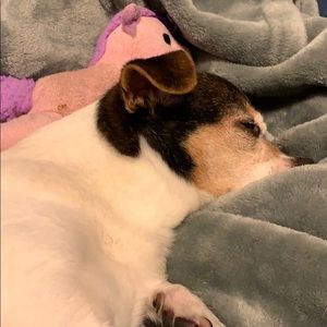 Meet your Posher, Lily